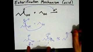 How to Make Esters Mechanism [upl. by Sioled991]