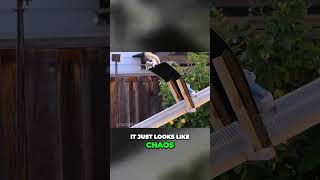 Backyard Squirrel Maze 2 part 5 squirrel maze markrober youtube fyp fypシ [upl. by Lionello]