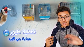 تغطية الطيور و حمايتهم من الجو القارص🥶جولة في غرفة الطيور 😂 [upl. by Ciredec]