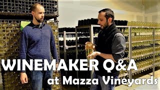 Winemaker QampA at Mazza Vineyards in Erie PA [upl. by Idnew633]