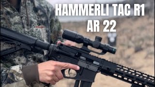 Hammerli Tac R1 22 Review and Shooting [upl. by Tray]