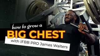 IFBB Pro Shows How to Build a Big Chest [upl. by Barri]