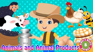 Animals amp Animal Products  Educational Rhymes  Bindis Music amp Rhymes [upl. by Jermain]