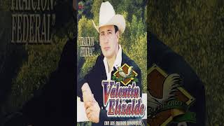 Valentín Elizalde  Ebrio De Amor shorts musica valentínelizalde corridos corridosmexicanos [upl. by Isyad]