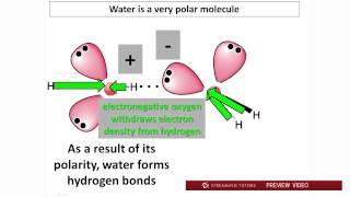 Biochemistry Water PH and Buffers Part 1 tutorial [upl. by Evslin]