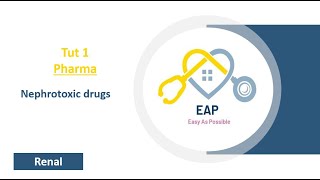 Tut 1  Pharma  Nephrotoxic drugs  Renal [upl. by Hars189]