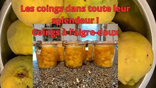 Les coings à laigre doux [upl. by Amice]