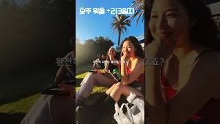 데일리호주워홀213일차🇦🇺 Stkilda 페스티벌 위아더월드 프랑스인들과의 인연 멜버른워홀 호주워킹홀리데이 호주워홀 멜버른여행 [upl. by Meingolda]