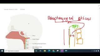 retropharyngeal space and abscess  ENT [upl. by Alyal]