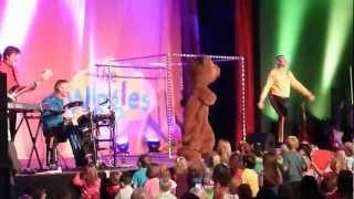 The Wiggles  Teddy BearTeddy Bear live  mingara 352012 [upl. by Euginomod]