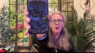 Gemini  You are a Champion they are attracted to you tarot tarotreading [upl. by Assyl]