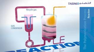 How Polymerization Works In A Gas Phase Reactor or how plastic is made [upl. by Arlynne]