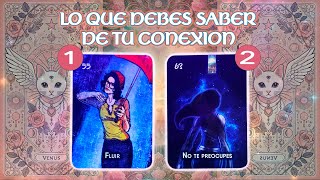 💙🔍 LO QUE DEBES SABER DE ESTA CONEXIÓN  CANALIZACIÓN  Elige una carta lectura del tarot amor [upl. by Suivat951]