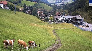 Kronplatz Gassl spring and summer time lapse [upl. by Treve991]