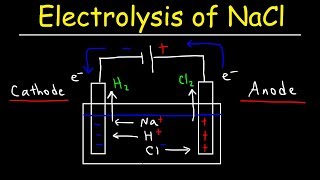 Electrolysis of Sodium Chloride  Electrochemistry [upl. by Donica]