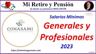 Salarios Mínimos Generales y Profesionales 2023 [upl. by Egin]