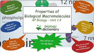 Properties of Biological Macromolecules  AP Biology 14 [upl. by Fulbert925]