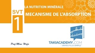 1ère annéeSVT03 mecanisme de labsorption [upl. by Fujio]