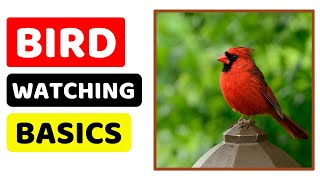 Bird Watching 101 Essential Tips for Beginners  Pet Adventure TV [upl. by Cappello68]