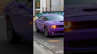 CRAZY DODGE CHALLENGER STEALS THE SHOW AGAINST LAMBORGHINI URUS shorts cars dodge [upl. by Pitt]