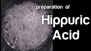 Hippuric Acid  Synthesis [upl. by Ainoz38]