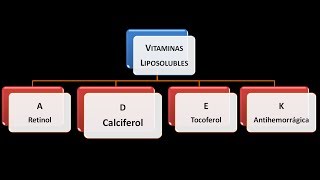 Nutrición ConCiencia  Beneficios de la vitamina D [upl. by Noevad]