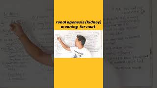 renal agenesis meaning shorts science kidney neet [upl. by Nyrraf]