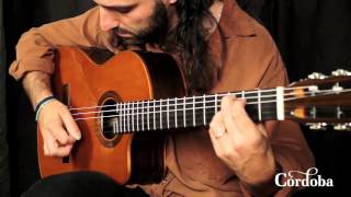 Cordoba Guitars  Fusion Orchestra CE Cedar [upl. by Samala]