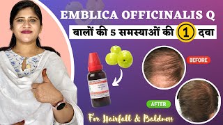 One Homeopathic medicine for 5 Hair Problems  आँवला से बनी दवा  Emblica Officinalis Q [upl. by Trstram518]