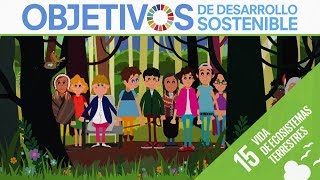 ODS 15  Vida de ecosistemas terrestres [upl. by Adore117]