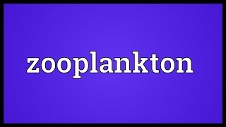 Zooplankton Meaning [upl. by Nellie49]