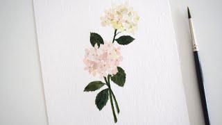 How to Paint Hydrangeas  Easy Watercolor Painting [upl. by Cruce3]