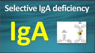 Selective IgA deficiency USMLE Step 1 [upl. by Cheria]