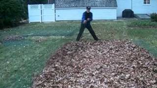 EASY WAY TO REMOVE LEAVES [upl. by Almire]