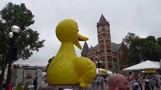 🐥🧀Giant Big Bird Inflatable at 2024 Green County Cheese Days [upl. by Suolevram]