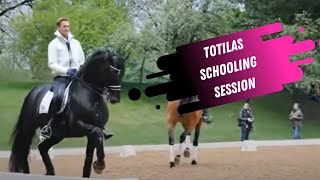 Watch Edward Gal amp Totilas School For The Grand Prix Dressage Test [upl. by Dorrej]