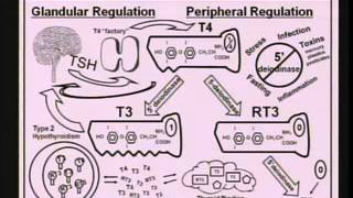 Epigenetics Modern Day Lifestyle and Your DNA [upl. by Peter958]