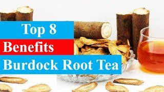 Top 8 Benefits of Burdock Root Tea  Health Benefits  Smart Your Health [upl. by Sire304]