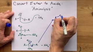 Converting Esters to Amides quotAminolysisquot [upl. by Cordie791]