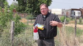 Gardening basics How to control bindweed in flower beds [upl. by Lorenza]