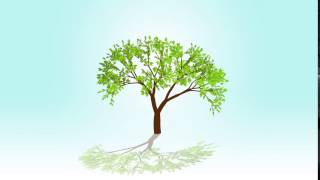 Seed Growing Tree Animation Quote  Protect the Earth [upl. by Ottavia404]