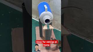 Ideas for rattrap at home rattrap rat bucketmousetrap mousetrap rattletrap mouse animals [upl. by Adaline633]