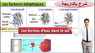 Les formes deau dans le sol TCSF les facteurs édaphiques شرح بالداريجة [upl. by Losse]