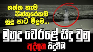 Raffealla Fernando  මුහුදු වෙරළේ ගත්ත ජායාරූපවල හොල්මනක් [upl. by Frey]