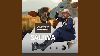 INsizwa noMansizwana [upl. by Nelie]