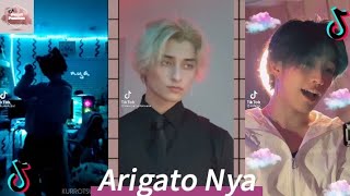 Arigato Nya  Tiktok Compilation  SP Tiktok [upl. by Millar]