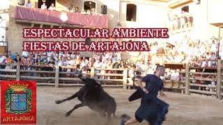 Encierro y vaquillas Artajona Navarra Espectacular ambiente fiestas 2023 [upl. by Cloots]