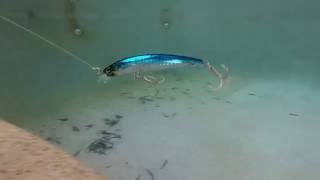 tackle talk tuesday 17 yo zuri 3d minnow [upl. by Etnuahs109]