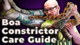 Boa Constrictor Care Guide 2022  Everything You Need To Know [upl. by Elrod]