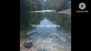 quotMapang Tajungtem Suitemerquot Molung Imsong Official Video [upl. by Pros]